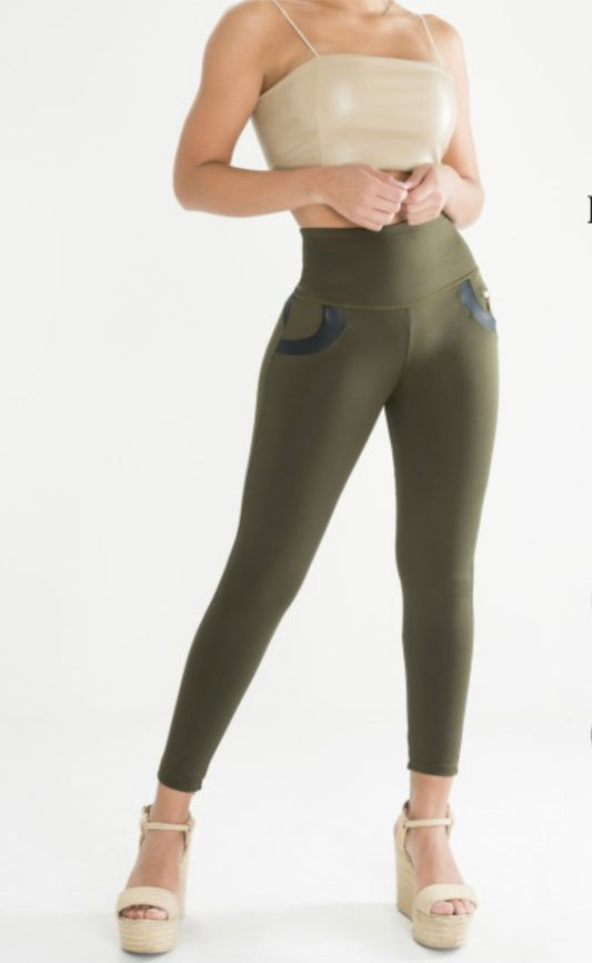 CSD15 - Bonita Shape